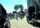Horses & Carriages, Edfu